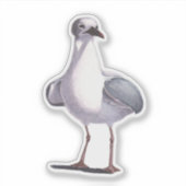 Seagull Aufkleber (Vorderseite)