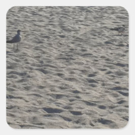 Seagull-Aufkleber Quadratischer Aufkleber