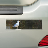 Seagull Autoaufkleber (Auf Auto)