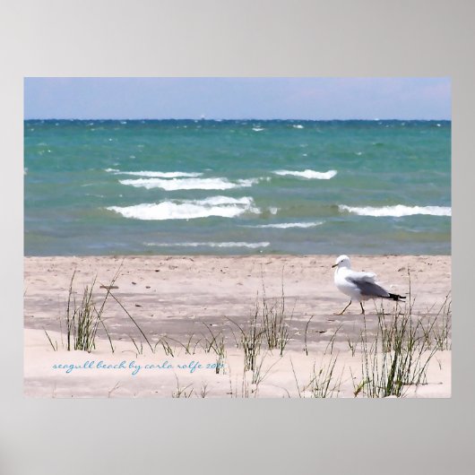 Seagull Beach Aquarell Print Poster (Vorne)