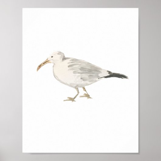 Seagull Beach Bird Painting Poster (Vorne)