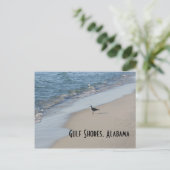 Seagull Beach Travel Postcard Postkarte (Stehend Vorderseite)