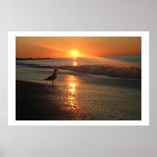 Seagull bei Sonnenaufgang - Gerahmt Print Poster (Vorne)