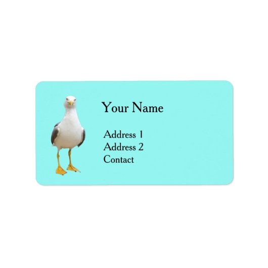 Seagull Bird auf Türkis Adressaufkleber (Vorne)