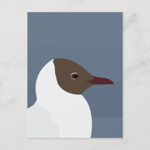 Seagull Bird Gull Postkarte