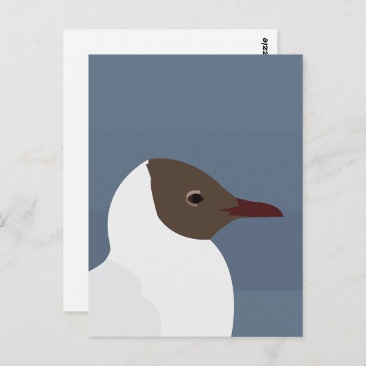 Seagull Bird Gull Postkarte (Vorne/Hinten)