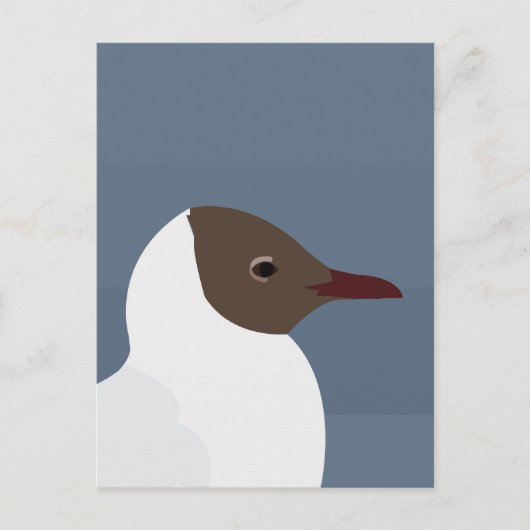 Seagull Bird Gull Postkarte (Vorderseite)