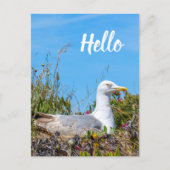 Seagull Bird Hallo Postkarte (Vorderseite)