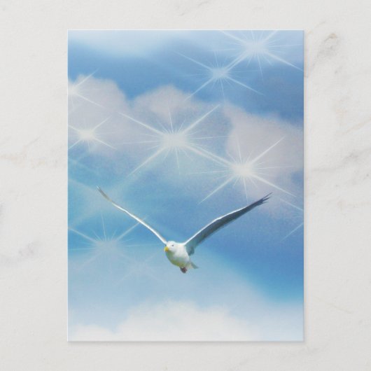 Seagull-Bird im Foto Postkarte (Vorderseite)