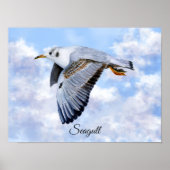 Seagull Bird Print, Value Poster Paper (Matte) (Vorne)