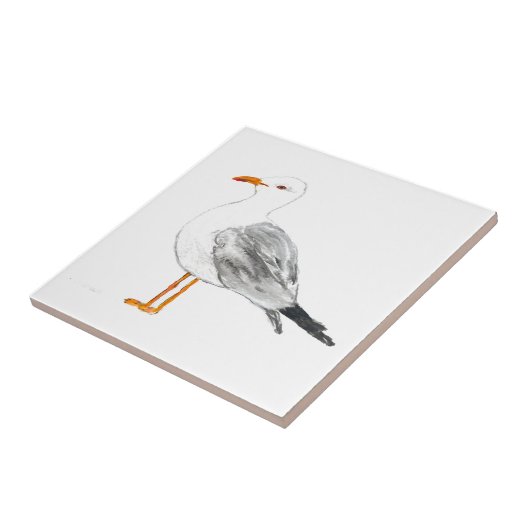 Seagull Bird Wilhelm Wasserfarbener Wasserpark Cal Fliese (Seite)