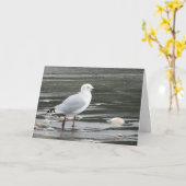 Seagull Birthday Card Karte (Gelbe Blume)