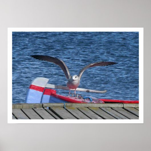 Seagull, Boat and Dock Print Poster (Vorne)