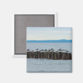 Seagull-Breaktime Magnet (Vorderseite/Rückseite)