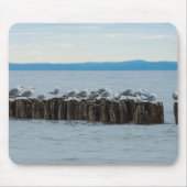 Seagull-Breaktime Mousepad (Vorne)