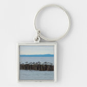 Seagull-Breaktime Schlüsselanhänger (Vorne)