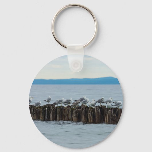 Seagull-Breaktime Schlüsselanhänger (Vorderseite)