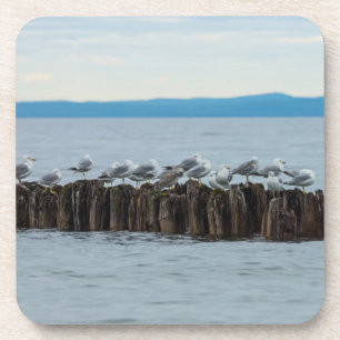Seagull-Breaktime Untersetzer