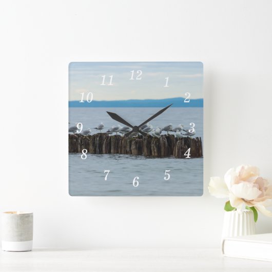 Seagull Breaktime Wall Clock Quadratische Wanduhr (Zuhause)