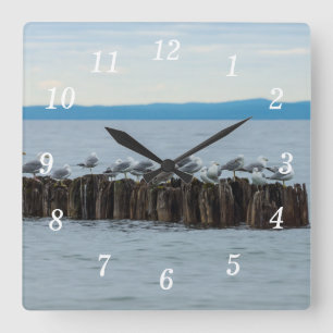 Seagull Breaktime Wall Clock Quadratische Wanduhr
