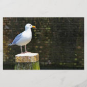 Seagull Briefpapier (Vorderseite)