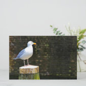 Seagull Briefpapier (Stehend Vorderseite)