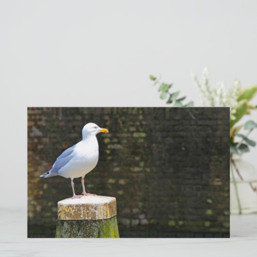 Seagull Briefpapier (Stehend Vorderseite)