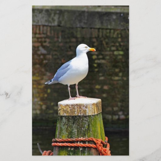 Seagull Briefpapier (Vorderseite)