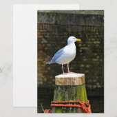 Seagull Briefpapier (Vorne/Hinten)