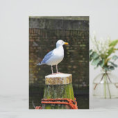 Seagull Briefpapier (Stehend Vorderseite)