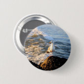 Seagull Button (Vorne & Hinten)