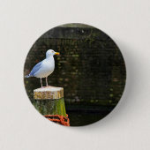 Seagull Button (Vorderseite)