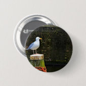 Seagull Button (Vorne & Hinten)