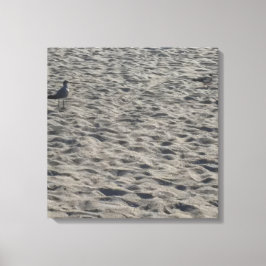 Seagull Canvas Print Leinwanddruck