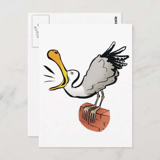 Seagull-Chat Postkarte (Vorne/Hinten)