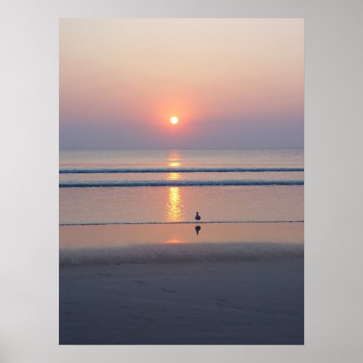 Seagull Daytona Beach FL Ocean Sunrise Poster (Vorne)