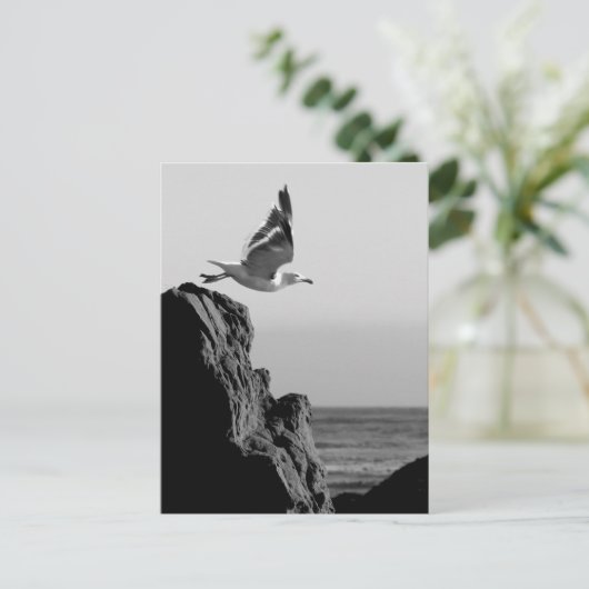 Seagull-Devices Postkarte (Stehend Vorderseite)