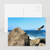 Seagull-Devices Postkarte (Vorne/Hinten)