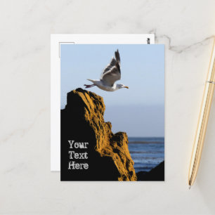 Seagull-Devices Postkarte