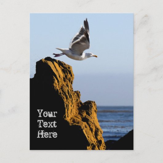 Seagull-Devices Postkarte (Vorderseite)