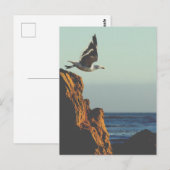 Seagull-Devices Postkarte (Vorne/Hinten)