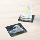 Seagull, die sich auf den Untersetzer der Zaun-Pos (Vor Ort)