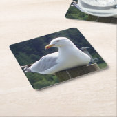 Seagull, die sich auf den Untersetzer der Zaun-Pos (angewinkelt)