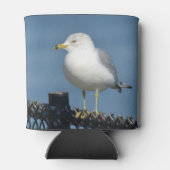 Seagull Dosenkühler (Rückseite)