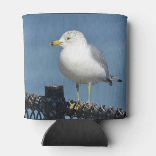 Seagull Dosenkühler (Rückseite)