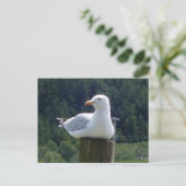 Seagull-Down Feiertagspostkarte (Stehend Vorderseite)