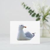 Seagull-Down Postkarte (Stehend Vorderseite)