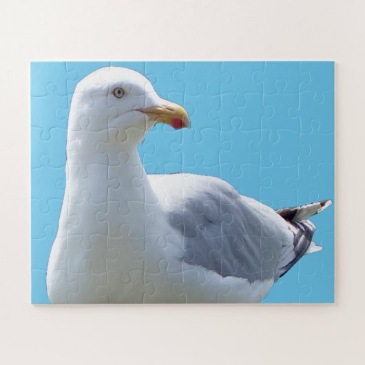 Seagull-Down Puzzle (Horizontal)