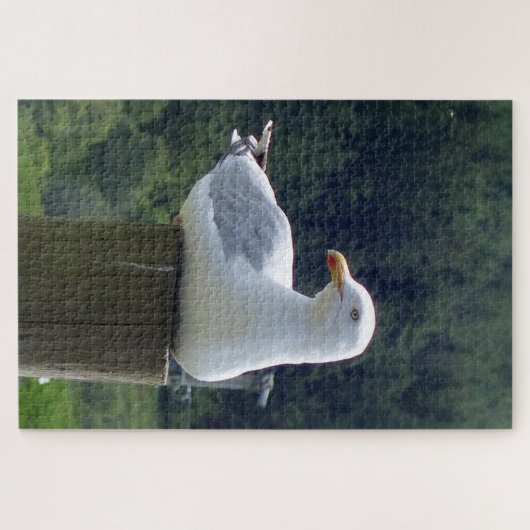 Seagull-Down Puzzle (Horizontal)