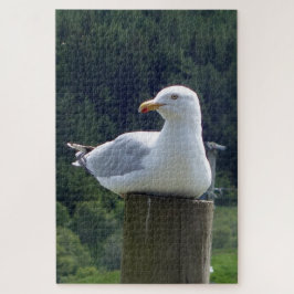 Seagull-Down Puzzle